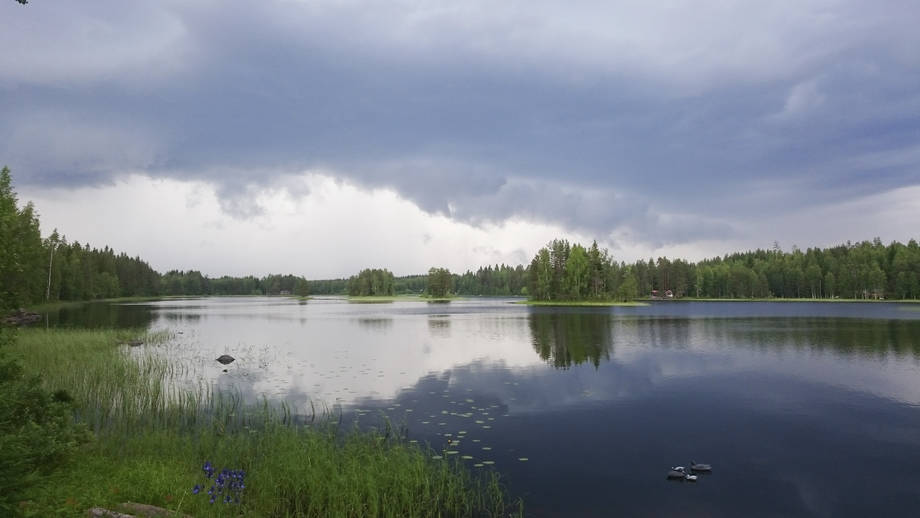 Laidunmaata vesistön vieressä.