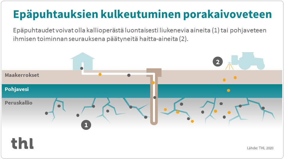 Infograafi, joka kertaa sivun sisältöä.