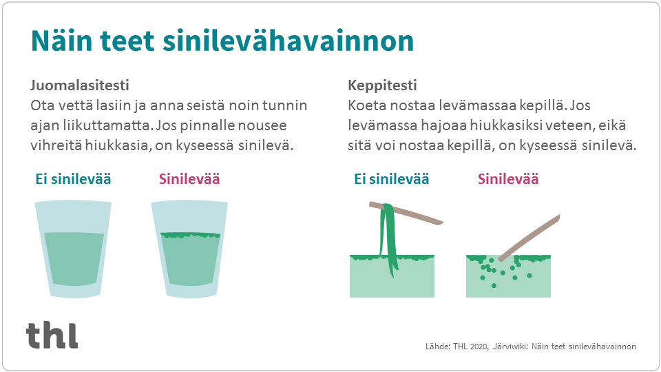 Infograafi, jonka sisältö on kerrottu tekstissä.