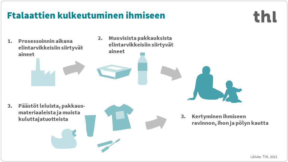 Infograafi, joka kertaa sivun sisältöä.