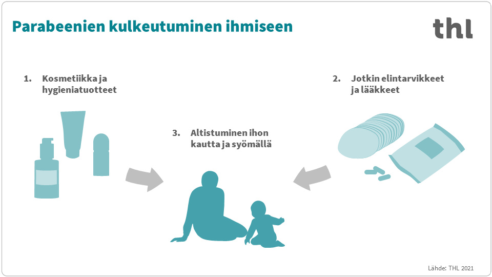Infograafi, joka kertaa sivun sisältöä.