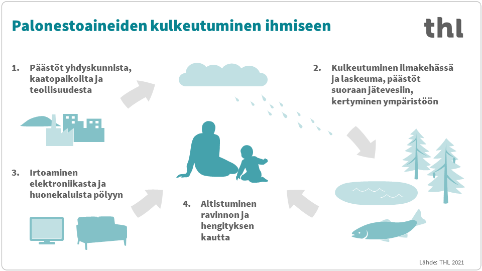 Infograafi, joka kertaa sivun sisältöä.