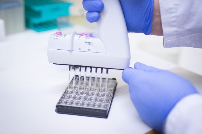 Pipettering i laboratoriet.