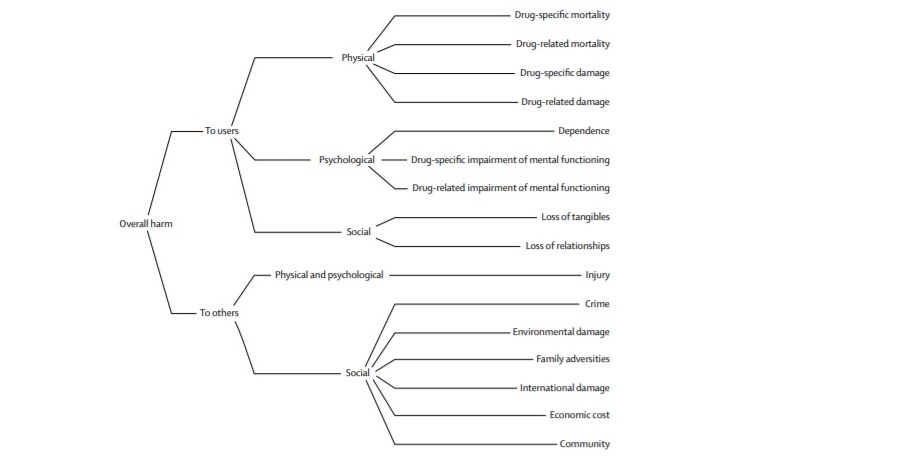 Päihdehaitat arviointikriteerit.