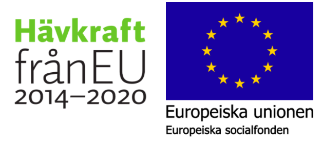 europeiska socialfunden logo.