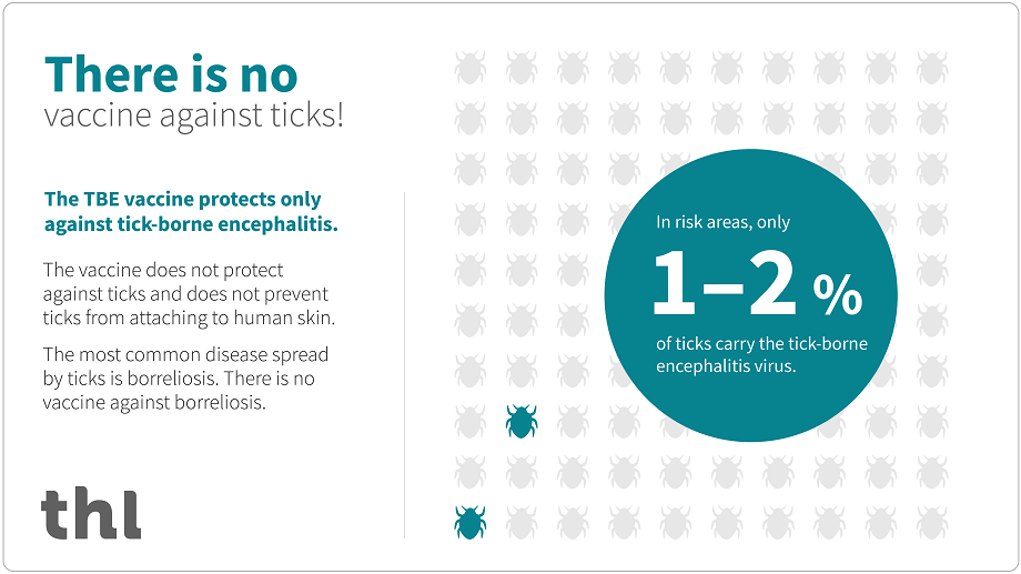 There is no vaccine against ticks. The TBE vaccine protects only against tick-borne encephalitis.
