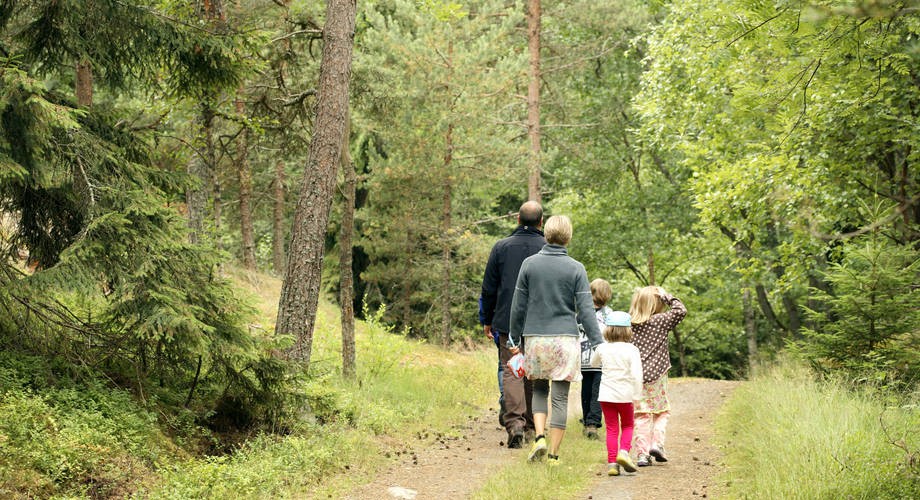 family walking in forest.