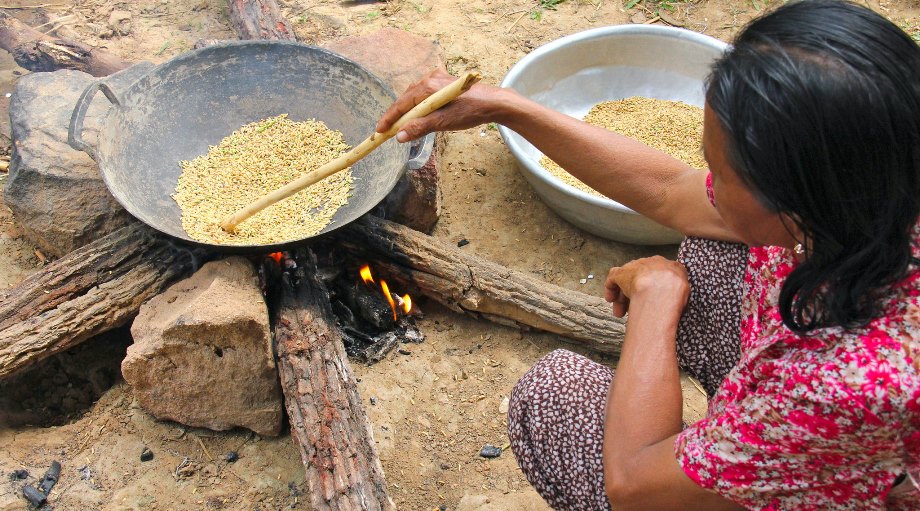 Roasted rice grain, a delicious snack, being prepared in Sambour Village