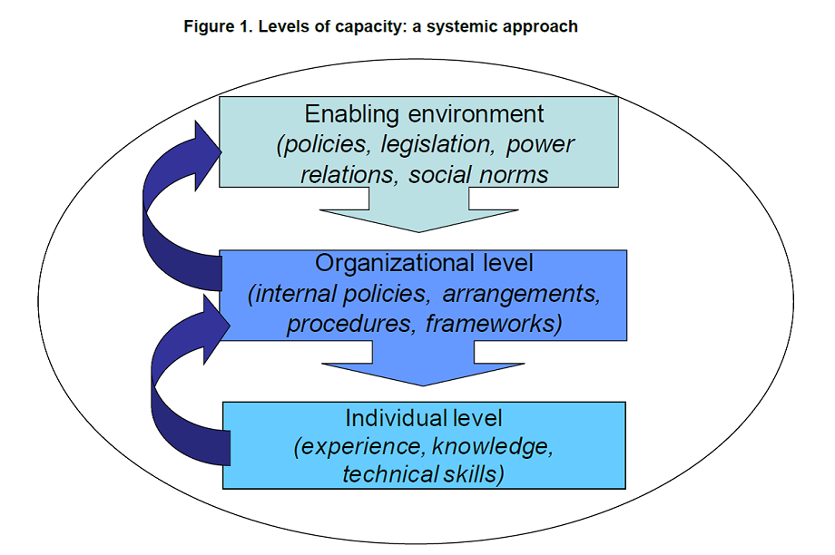Diagram of how different levels of capacity interrelate