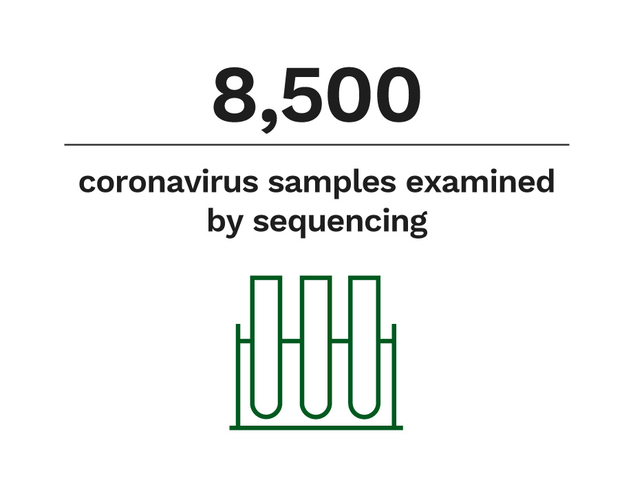 8500 coronavirus samples examined by sequencing.