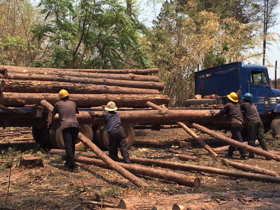 Kuvaaja: Timo Voipio