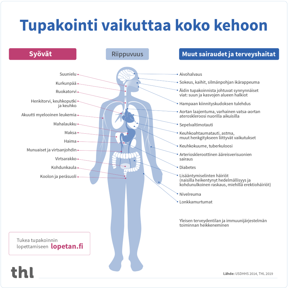 Kuviossa on esitetty tupakoinnin erilaisia vaikutuksia kehoon. Olennaisin sisältö käy ilmi sivun tekstistä.