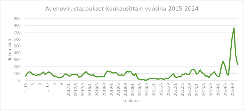 Viivakaavio vuosina 2015–2024 raportoiduista adenovirustapauksista. Vuosittain infektioita esiintyy eniten loka-maaliskuun aikana.