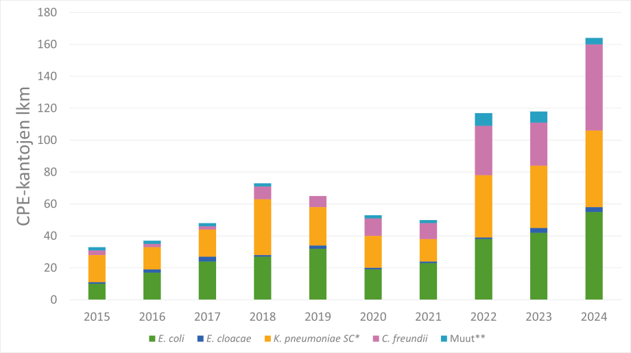10-vuoden ajalta yleisimmät lajit ovat olleet E. coli ja K. pneumoniae. C. freundii osuus on lähtenyt kasvamaan vuodesta 2018. Muita lajeja on ollut todella vähän vuosittain. Tekstissä avattu kuvaa lisää.