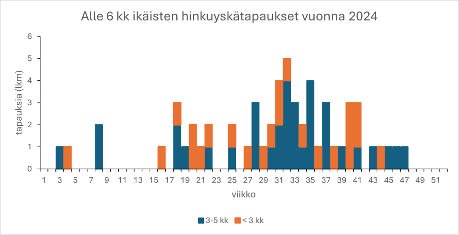 Pylväskaavio esittää tartuntatautirekisteriin ilmoitettujen Bordetella pertussis -bakteerilöydösten lukumäärät kalenterikuukausittain alle 6 kuukauden ikäisillä lapsilla vuonna 2024. Pylväissä voidaan erottaa alle 3 kuukauden ikäisillä, 3–5 kuukauden ikäisillä ja kaikilla alle 6 kuukauden ikäisillä havaitut hinkuysätapaukset. Lähde: Tartuntatautirekisteri.