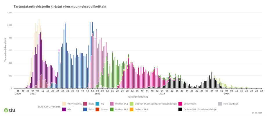 Pylväskaavio esittää tartuntatautirekisteriin ilmoitettujen sekvensoitujen SARS-CoV-2-muunnosten havaintomääriä ajallisesti viikosta 51/2020 lähtien. Kuvaaja havainnollistaa valtavarianttien nopean nousun ja syrjäytymisen seuraavan valtavariantin alta pandemian alkuvaiheessa sekä muunnosten asteittain tapahtuneen vakiintumisen väestöön.