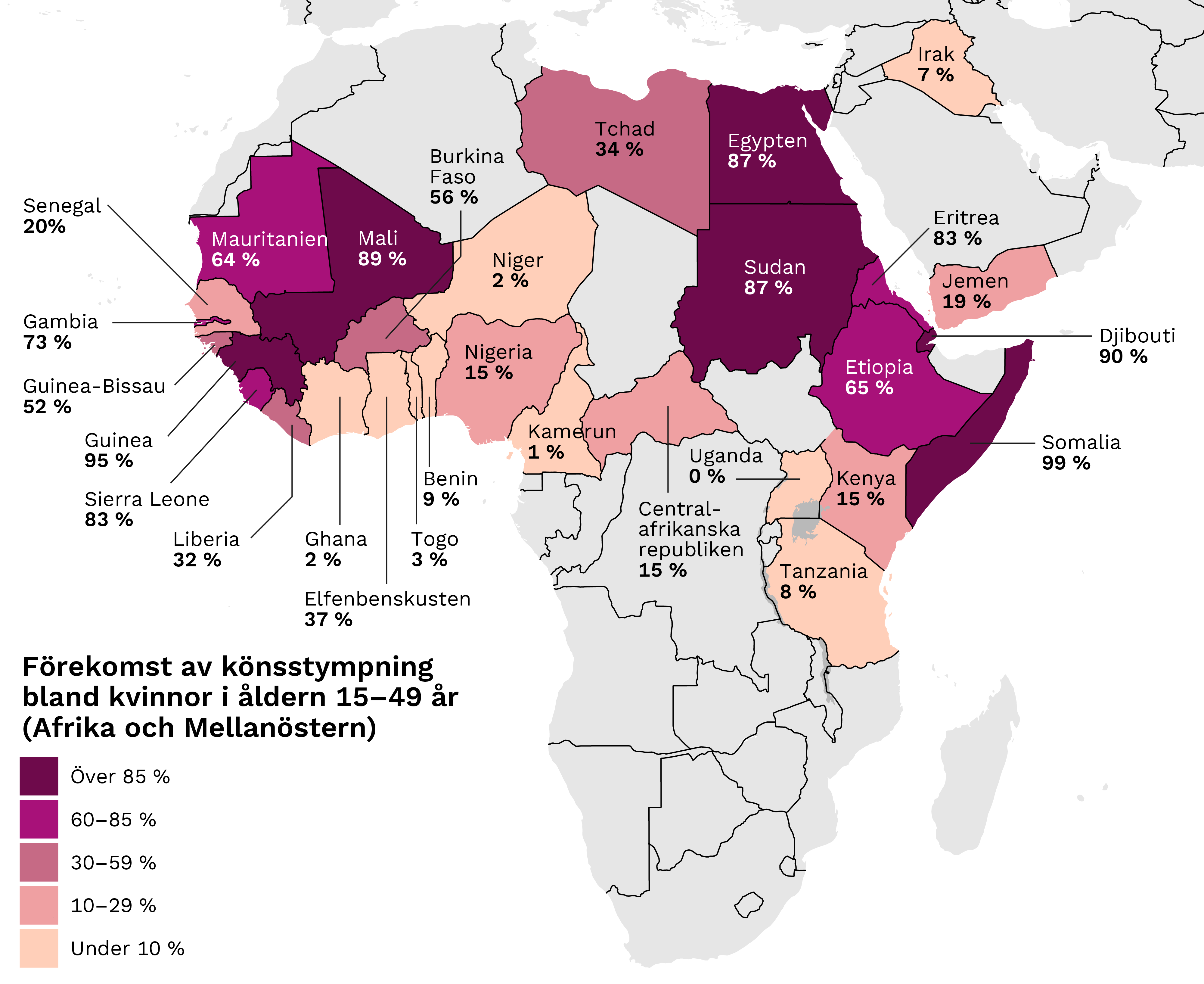 Karta där länderna är indelade i fem färgklasser enligt förekomst. En förekomst på över 85 procent finns i Somalia (99 %), Guinea (95 %), Djibouti (90 %), Mali (89 %) samt i Egypten och Sudan (87 %). I klassen 60–85 procent ingår Eritrea och Sierra Leone (83 %), Gambia (73 %), Etiopien (65 %) och Mauretanien (64 %). I klassen 30–59 procent ingår Burkina Faso (56 %), Guinea Bissau (52 %), Elfenbenskusten (37 %), Tchad (34 %) och Liberia (32 %). I klassen 10–29 procent ingår Centralafrikanska republiken (22 %), Senegal (20 %), Jemen (19 %) samt Nigeria och Kenya (15 %). En förekomst på under 10 procent finns i Benin (9 %), Tanzania (8 %), Irak (7 %), Togo (3 %), Ghana och Niger (2 %), Kamerun (1 %) och Uganda (0 %).