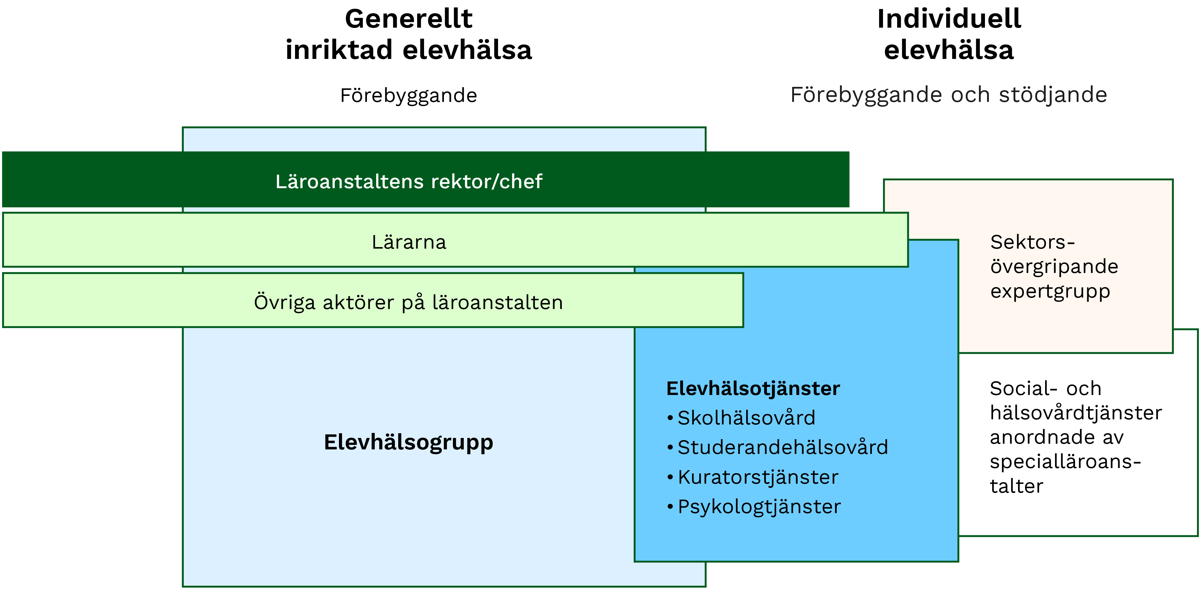 Bild av indelningen i generellt inriktad elevhälsa och individuell elevhälsa. Bildens innehåll beskrivs i sidans text.