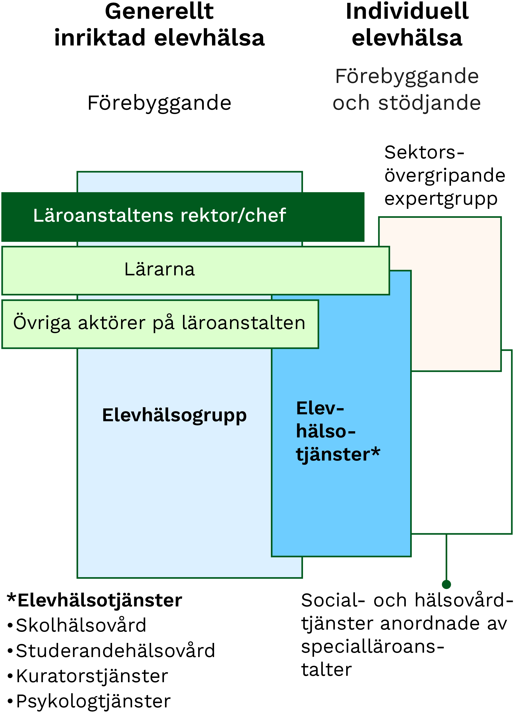 Bild av indelningen i generellt inriktad elevhälsa och individuell elevhälsa. Bildens innehåll beskrivs i sidans text.